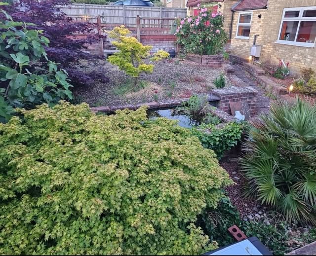 Planted garden borders