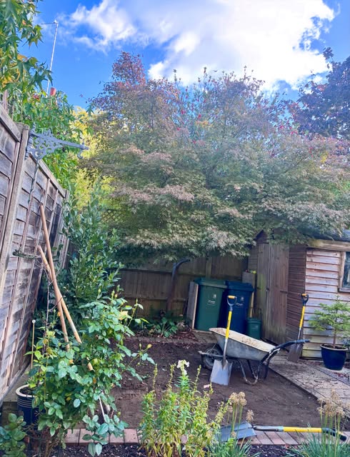 Garden before work begins
